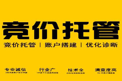 竞价排名成功案例：如何提升品牌知名度